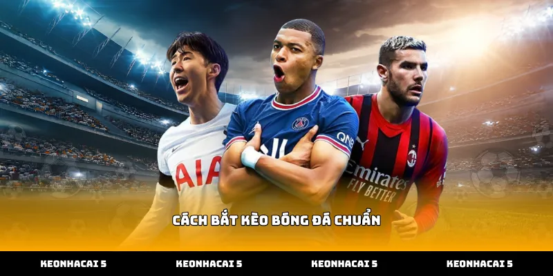 Vận dụng cách bắt kèo bóng đá chuẩn để theo dõi tỷ lệ