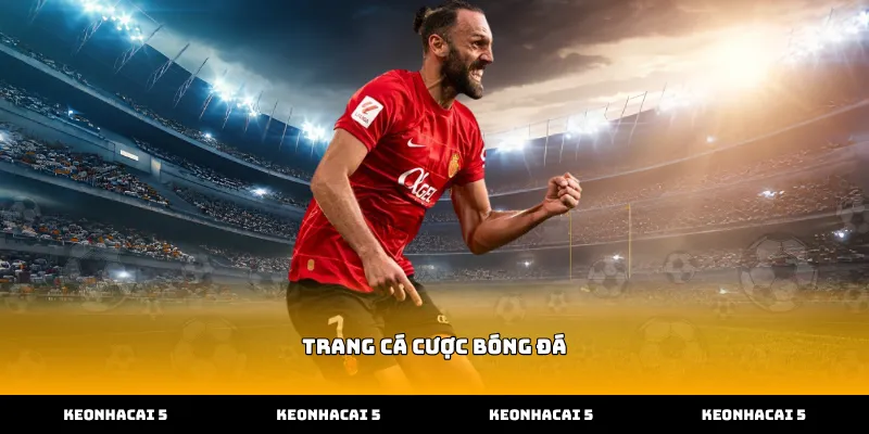 Lựa chọn trang cá cược bóng đá dựa trên tiêu chuẩn chuyên gia